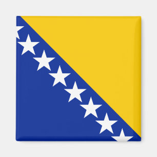 Bosnia and Herzegovina Flag Magnet