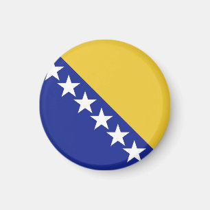 Bosnia and Herzegovina flag Magnet