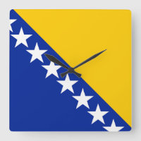 Bosnia and Herzegovina Flag
