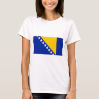 Bosnia and Herzegovina Flag