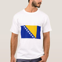 Bosnia and Herzegovina Flag