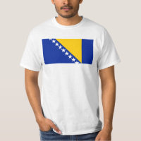 Bosnia and Herzegovina Flag