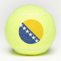 Bosnia and Herzegovina Flag