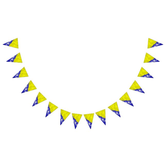 Bosnia and Herzegovina Oil Painting Drawing Bunting (All)