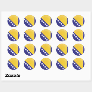 Bosnia and Herzegovina  Round Icon Flag Classic Round Sticker