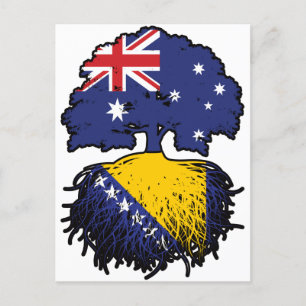 Bosnia Bosnian Australian Australia Tree Roots Postcard