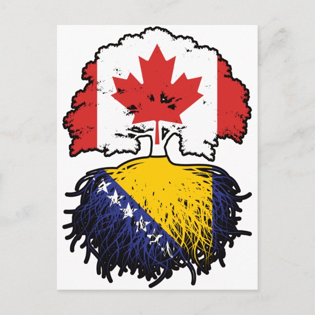 Bosnia Bosnian Canadian Canada Tree Roots Flag Postcard (Front)