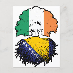 Bosnia Bosnian Irish Ireland Tree Roots Flag Postcard