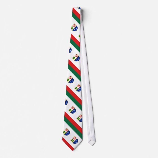 Bosnia Herzegovina Federation Flag Tie (Front)