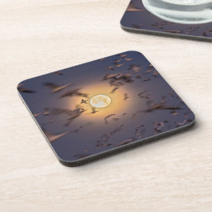 Bosque del Apache National Wildlife Refuge Coaster