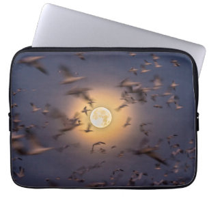 Bosque del Apache National Wildlife Refuge Laptop Sleeve