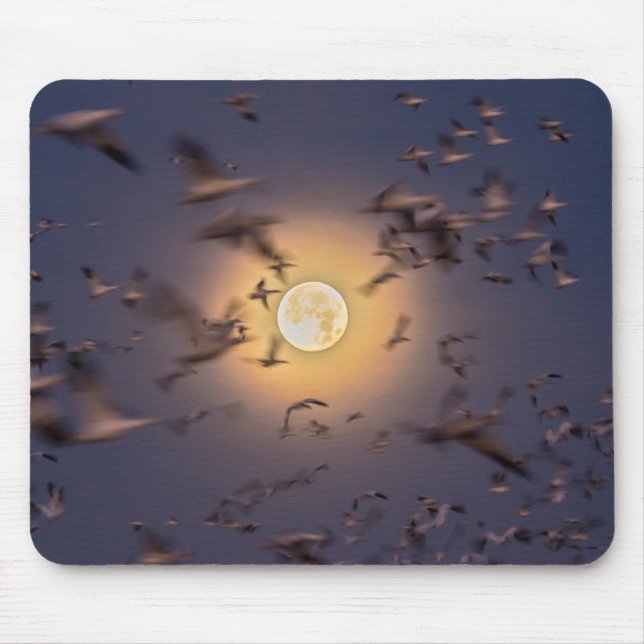 Bosque del Apache National Wildlife Refuge Mouse Mat (Front)