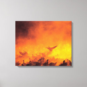 Bosque del Apache National Wildlife Refuge, NM Canvas Print