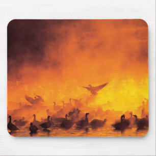 Bosque del Apache National Wildlife Refuge, NM Mouse Mat