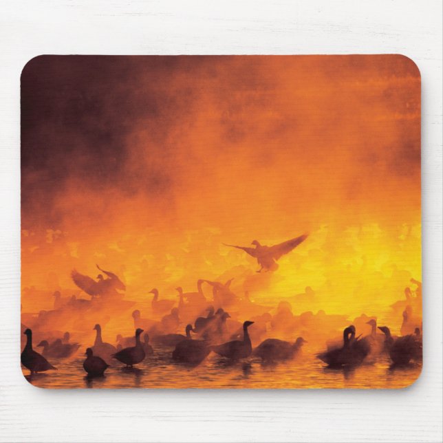 Bosque del Apache National Wildlife Refuge, NM Mouse Mat (Front)