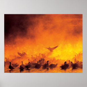 Bosque del Apache National Wildlife Refuge, NM Poster