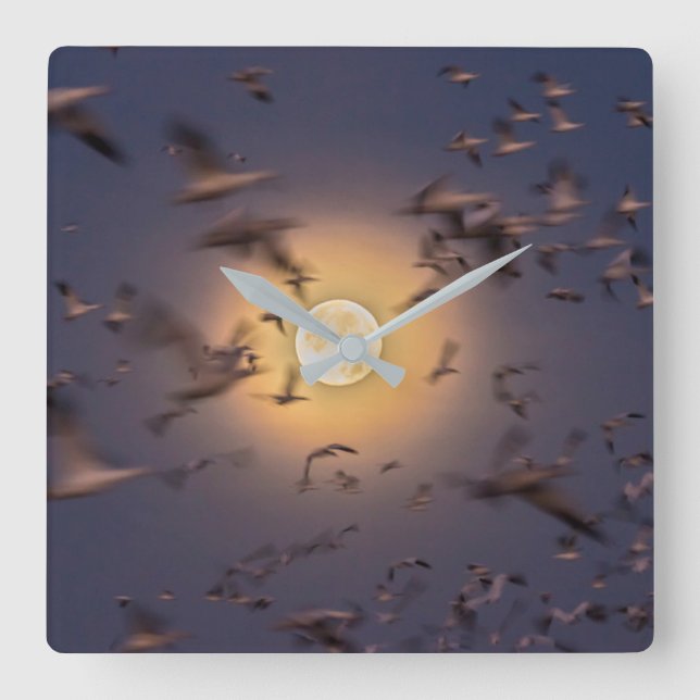 Bosque del Apache National Wildlife Refuge Square Wall Clock (Front)
