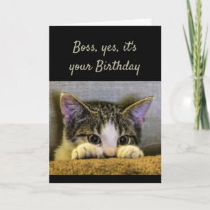 Boss can't Hide It's your Birthday Cute Kitten Card