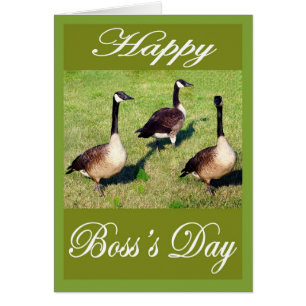 boss day geese