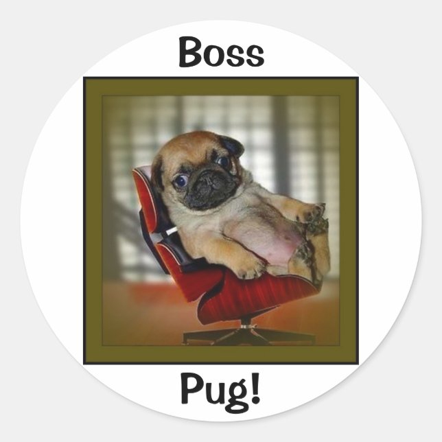 Boss Pug! Classic Round Sticker (Front)