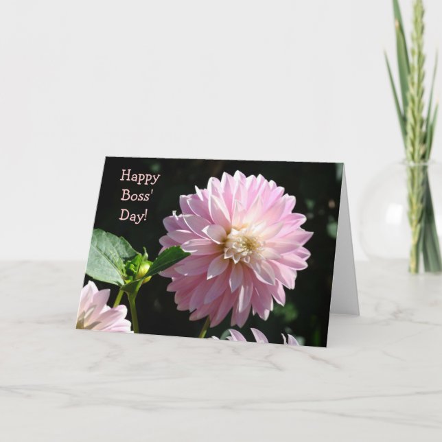 Bosses Cards Pink Dahlia Flowers Happy Boss Day! (Front)