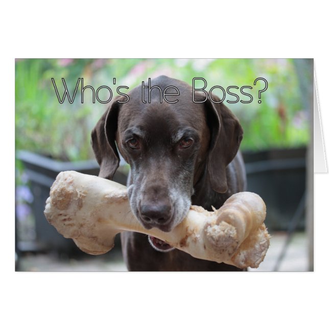 Boss's Day Card (Front Horizontal)