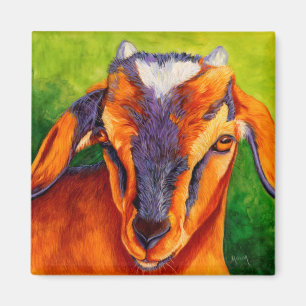 Bossy Boots - Baby Goat Magnet
