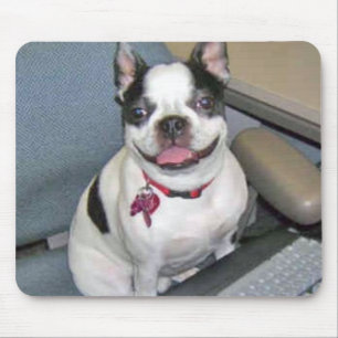 Boston at the Computer Mousepad