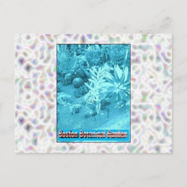Boston Botanical Gardens Postcard (Front)