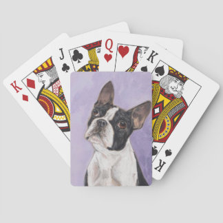 Boston bull terrier playing cards