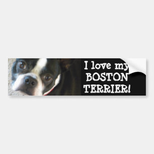 BOSTON bumper sticker