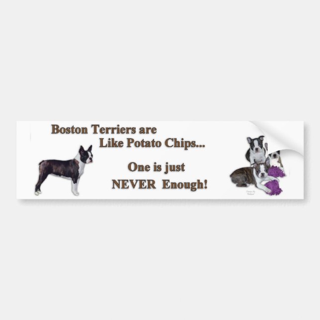 boston_bumpersticker1a bumper sticker (Front)