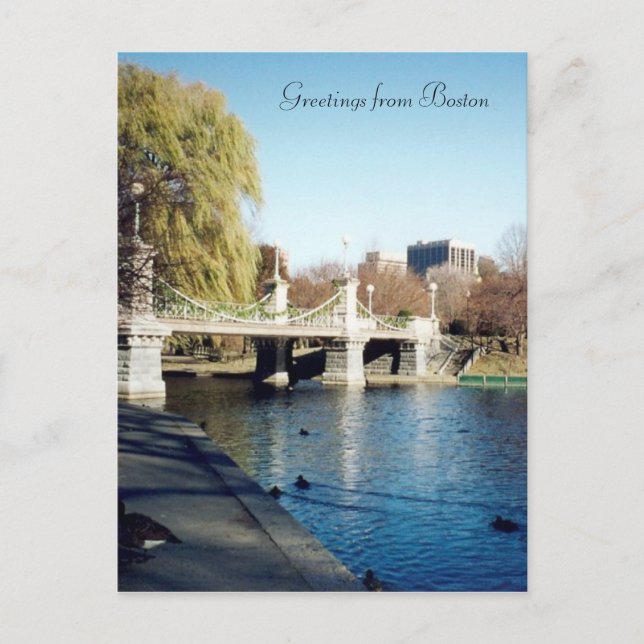 boston common bridge postcard (Front)