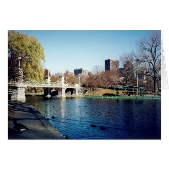 boston common card