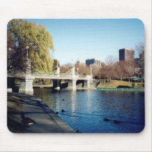 boston common mouse mat