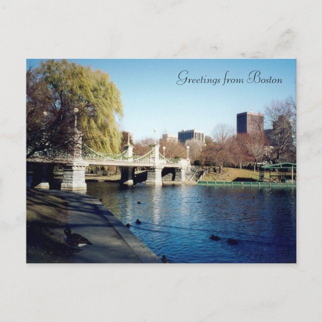 boston common postcard (Front)