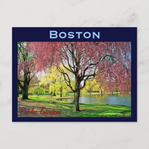 Boston Common Postcard - Customised