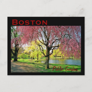 Boston Common Postcard - Customised