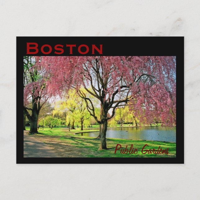 Boston Common Postcard - Customised (Front)