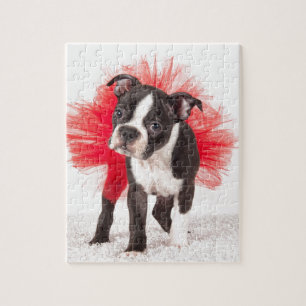 Boston Dancer Jigsaw Puzzle