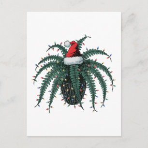 Boston Fern Plant Santa Hat Christmas Lights Plant Postcard