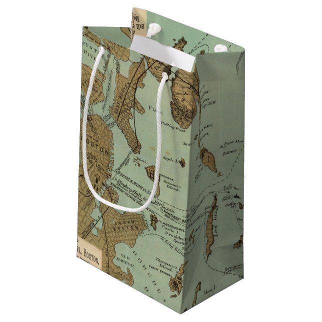Boston Harbour Small Gift Bag (Back Angled)