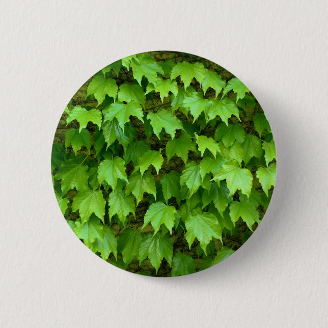 Boston Ivy Badge (Front)