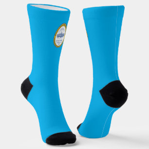 Boston (Massachusetts) city flag Socks