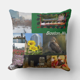 Boston, Massachusetts Cushion