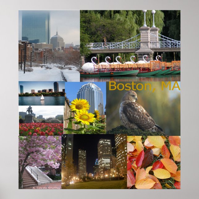 Boston, Massachusetts Photo Collage Poster (Front)