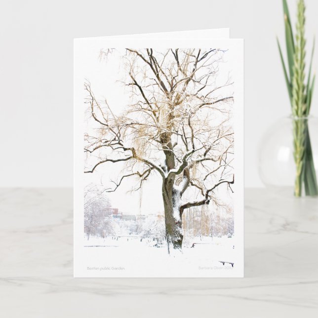 Boston Public Garden: add your greeting Card (Front)