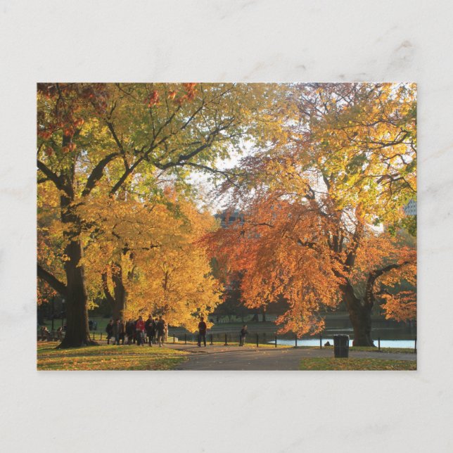 Boston Public Garden Autumn Postcard (Front)