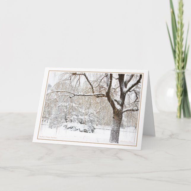 Boston Public Garden Holiday Card (Front)