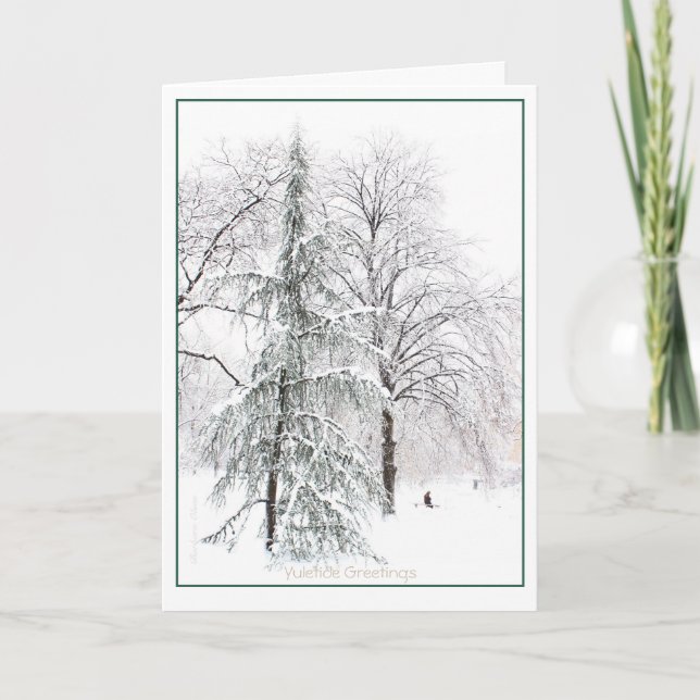 Boston Public Garden: Holiday Yuletide (Front)